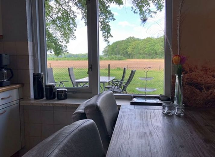 Enjoy grazing cows in nature at Holiday home in Lattrop, Twente, Overijssel.