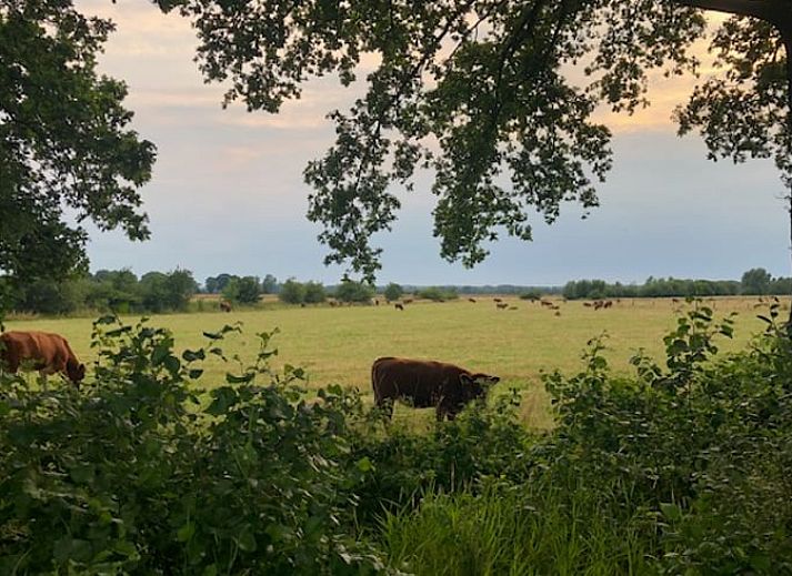 Cozy living room in Holiday home in Lattrop, ideal for relaxation in Twente, Overijssel.