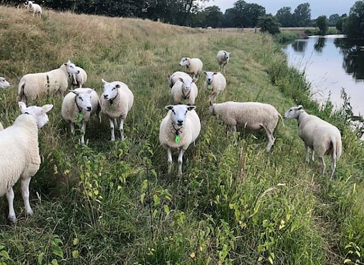 Cozy living room in Holiday home in Lattrop, ideal for relaxation in Twente, Overijssel.