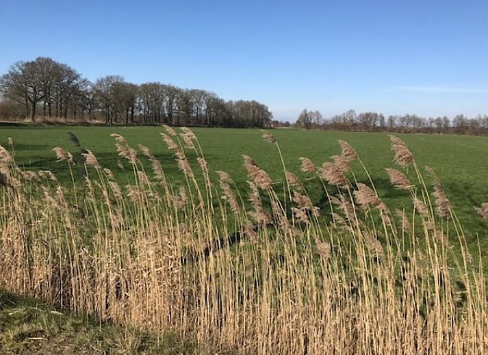 Cozy living room in Holiday home in Lattrop, ideal for relaxation in Twente, Overijssel.