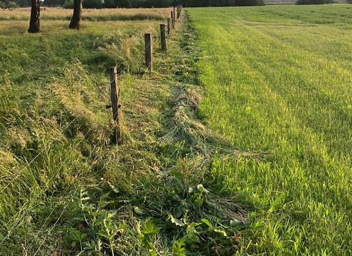 Cozy living room in Holiday home in Lattrop, ideal for relaxation in Twente, Overijssel.