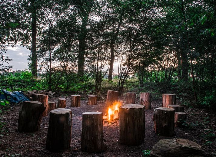 Unterkunft 525307 - Ferienhaus Twente - Huisje in Lattrop