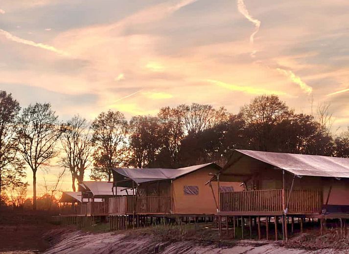 Verblijf 525310 - Tenthuis Twente - Safaritent 6 personen incl. sanitair aan het meer