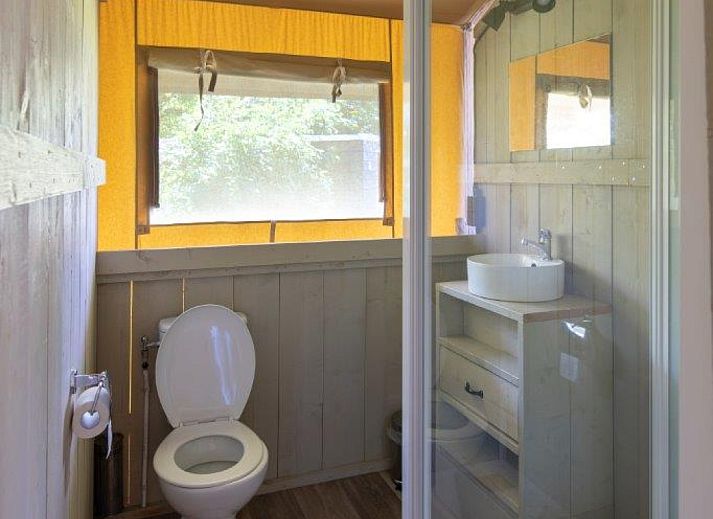 Unterkunft 525312 - Zelthaus Twente - Safaritent + sanitair