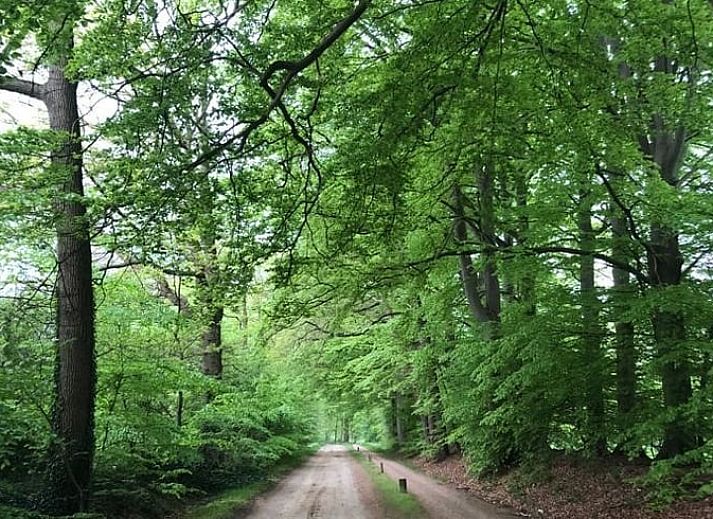 Unterkunft 525705 - Ferienhaus Twente - Vakantiehuisje in Agelo