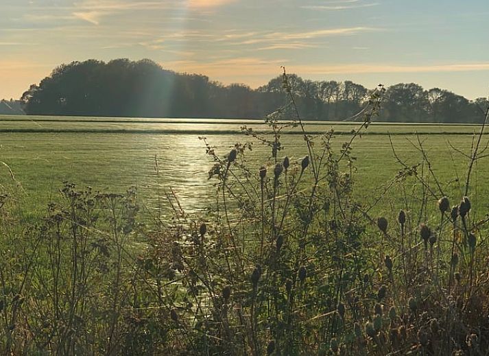 Unterkunft 525705 - Ferienhaus Twente - Vakantiehuisje in Agelo