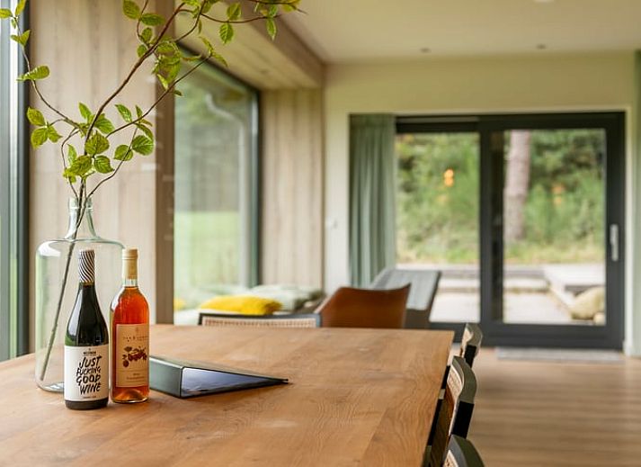 Stijlvolle binnenruimte van Vakantiehuis in Agelo met uitzicht op het landschap van Twente.