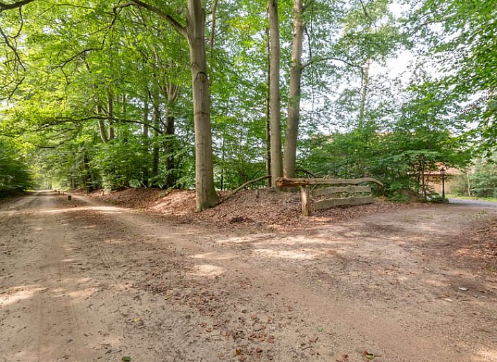Detail van het fornuis in de keuken van Vakantiehuis in Agelo, perfect voor kookliefhebbers in Twente.