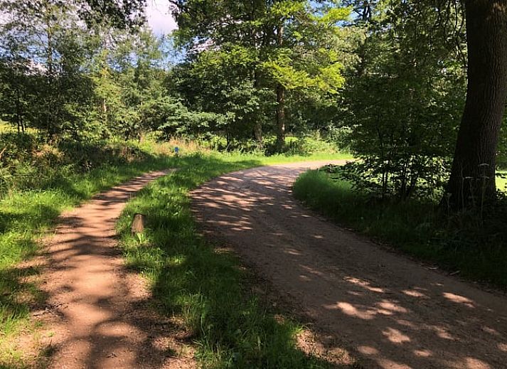 Detail van het fornuis in de keuken van Vakantiehuis in Agelo, perfect voor kookliefhebbers in Twente.