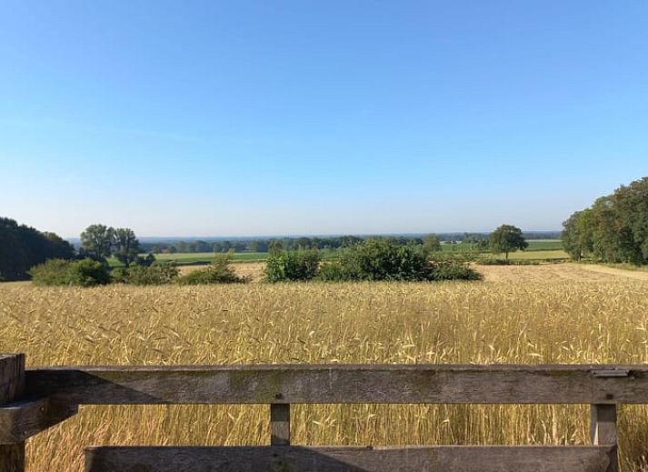 Detail van het fornuis in de keuken van Vakantiehuis in Agelo, perfect voor kookliefhebbers in Twente.