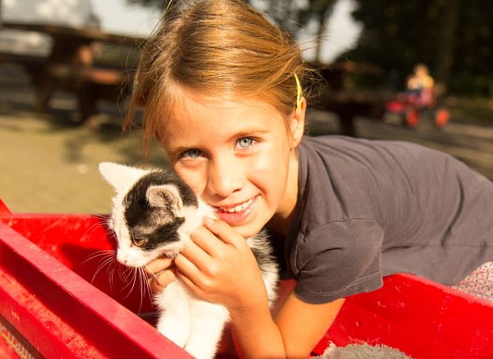 Unterkunft 525709 - Ferienhaus Twente - Huisje in Agelo