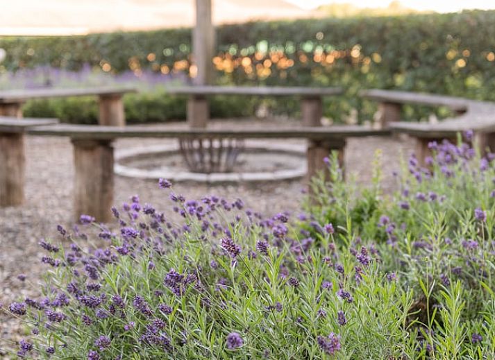 Unterkunft 525709 - Ferienhaus Twente - Huisje in Agelo