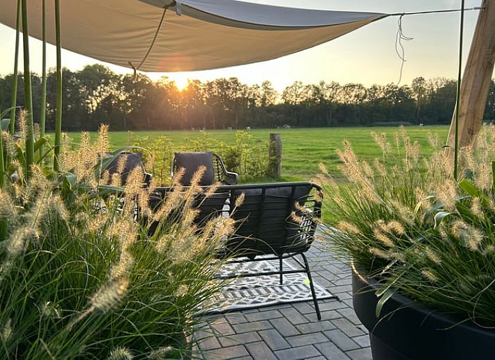 Uitzicht op grazende koeien vanuit Vakantiehuisje in Agelo, omgeven door de rustgevende natuur van Twente, Overijssel.