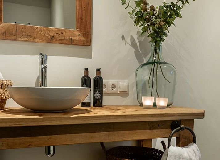 Uitzicht op grazende koeien vanuit Vakantiehuisje in Agelo, omgeven door de rustgevende natuur van Twente, Overijssel.