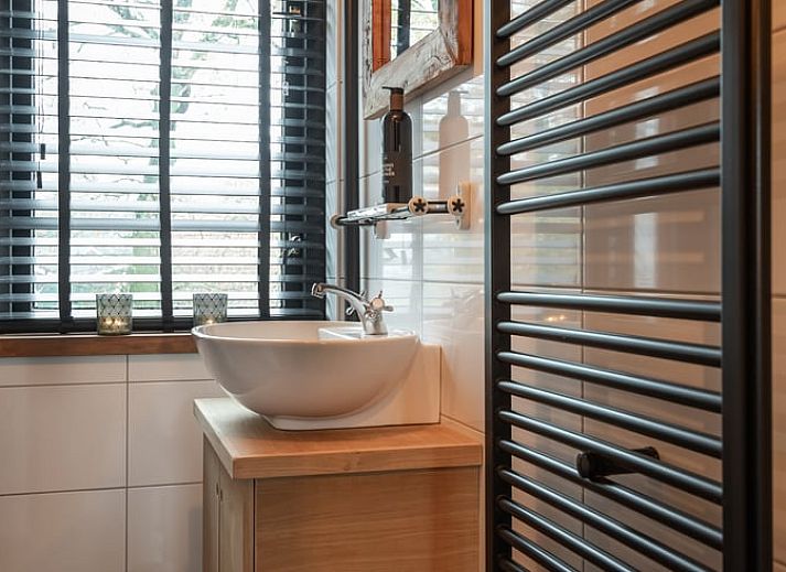 Uitzicht op grazende koeien vanuit Vakantiehuisje in Agelo, omgeven door de rustgevende natuur van Twente, Overijssel.