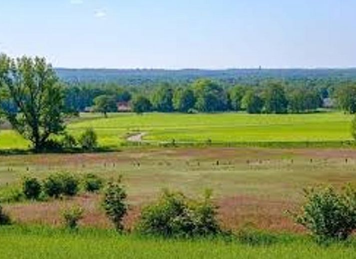 Interior of Huisje in Agelo, vacation home in Twente, Overijssel with wooden beams and artwork on the wall.