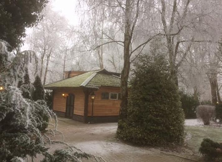 Rustiek vakantiehuis in Vroomshoop, Twente, omringd door groene natuur.