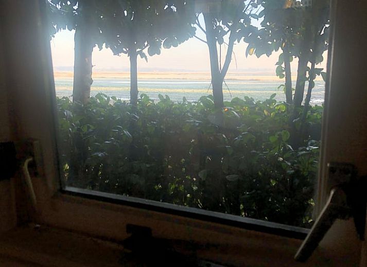 Rustiek vakantiehuis in Vroomshoop, Twente, omringd door groene natuur.