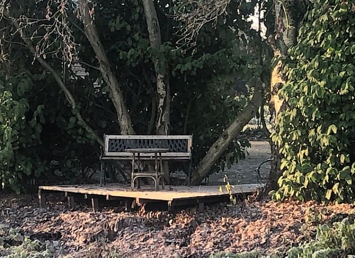 Uitzicht vanuit vakantiehuis in Vroomshoop, Twente, op groene velden.