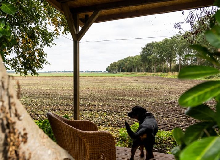 Uitzicht vanuit vakantiehuis in Vroomshoop, Twente, op groene velden.
