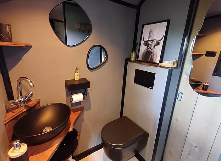 Huisje in Vroomshoop, vakantiehuis met veranda in Twente, Overijssel.