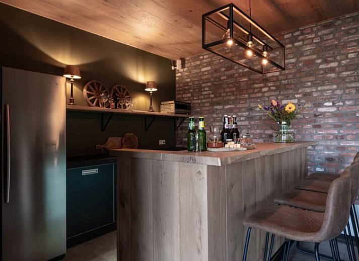 Spacious living room in Holiday Home in Glane, Twente with wooden ceiling and modern furnishings.
