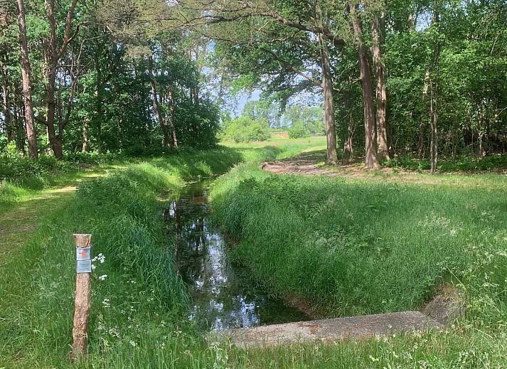 Charmantes Ferienhaus OV436 in Hengevelde, Twente mit gruenem Garten und Terrasse in Overijssel.
