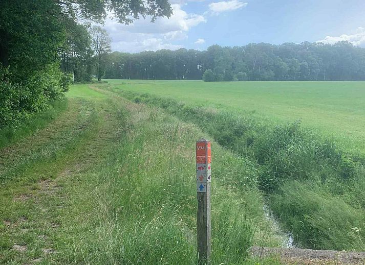 Wunderschoene Natur umgibt das Ferienhaus OV436 in Hengevelde, Twente, ideal fuer Wanderungen.