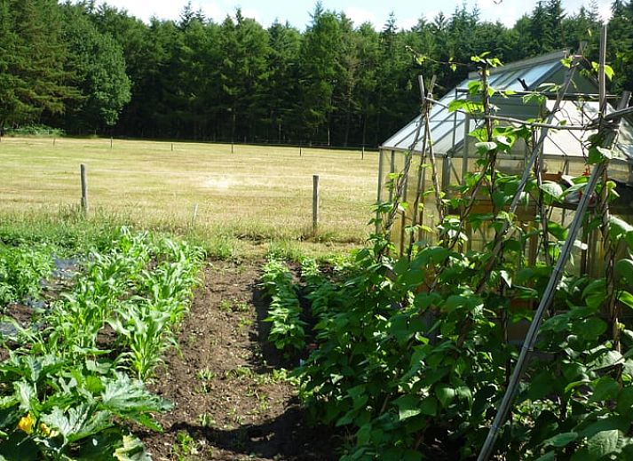 Unterkunft 526208 - Ferienhaus Twente - Huisje in Hengevelde