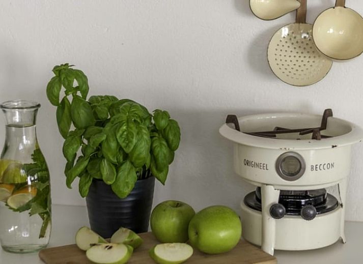 Unterkunft 526213 - Ferienhaus Twente - Huisje in Hengevelde