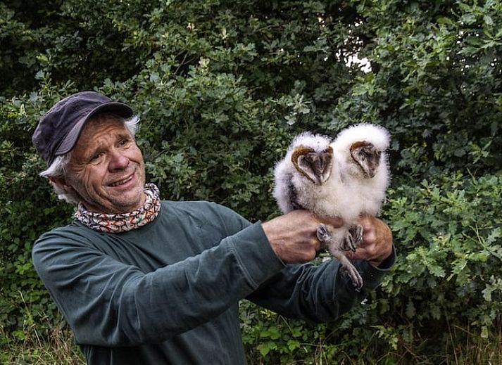 Unterkunft 526213 - Ferienhaus Twente - Huisje in Hengevelde
