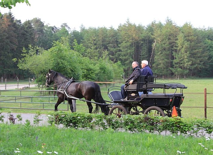 Unterkunft 526213 - Ferienhaus Twente - Huisje in Hengevelde