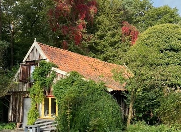 Vakantiehuisje in Boekelo, Enschede omgeven door groene natuur en bloeiende planten, perfect voor een ontspannen verblijf in Twente.
