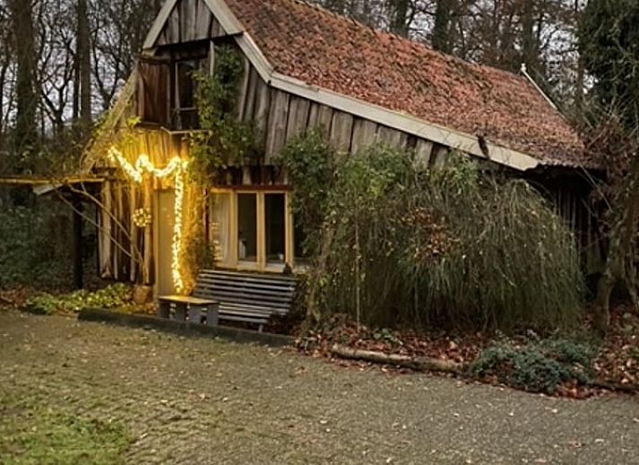 Vakantiehuisje in Boekelo, Enschede omgeven door groene natuur en bloeiende planten, perfect voor een ontspannen verblijf in Twente.