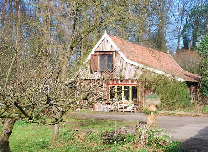 Vakantiehuisje in Boekelo, Enschede omgeven door groene natuur en bloeiende planten, perfect voor een ontspannen verblijf in Twente.