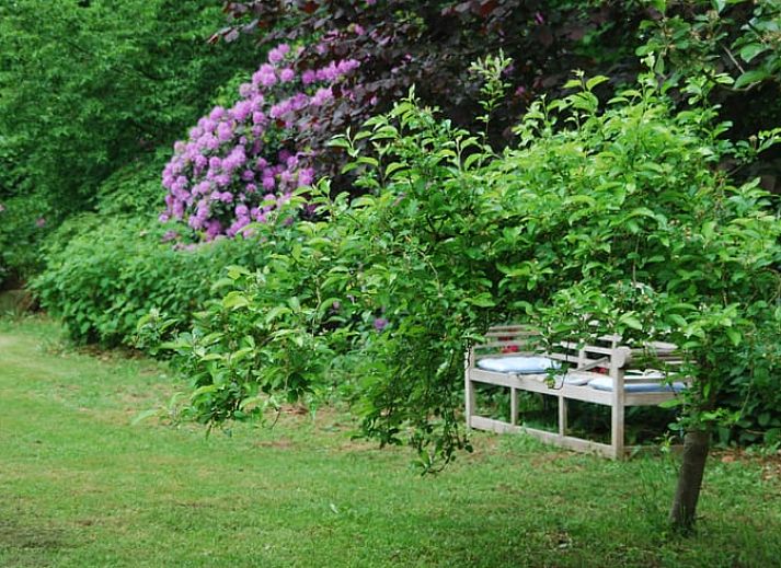 Vakantiewoning in Boekelo, Enschede met ruime tuin en boomgaard, een ideale plek voor ontspanning in de serene omgeving van Twente.