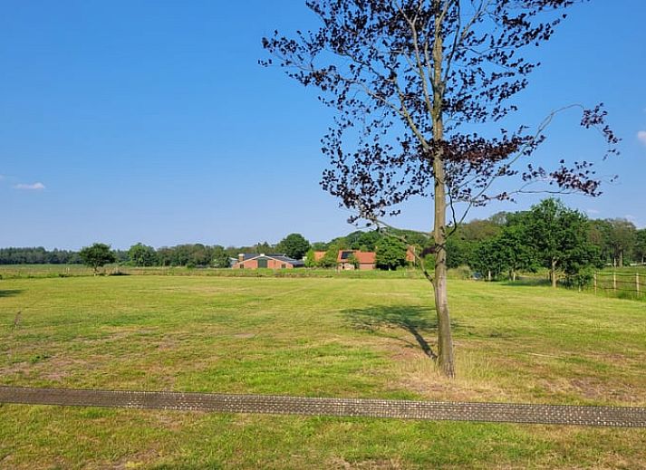 Gemuetliches Wohnzimmer im Ferienhaus in Lonneker, Twente, mit bequemer Sitzecke und stimmungsvoller Beleuchtung.