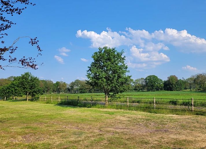 Rustikale Sauna im Ferienhaus in Lonneker, Twente, bietet Entspannung inmitten der Natur in Overijssel.