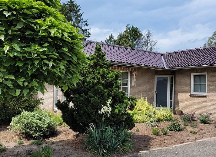 Entspannen Sie sich im Jacuzzi auf der Terrasse des Ferienhauses in Lonneker, Twente, mit Blick auf die gruene Umgebung.