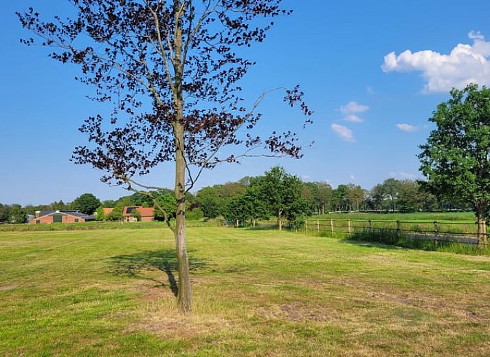 Der sprudelnde Whirlpool im Garten des Ferienhauses in Lonneker, Twente, bietet Entspannung in der Natur von Overijssel.