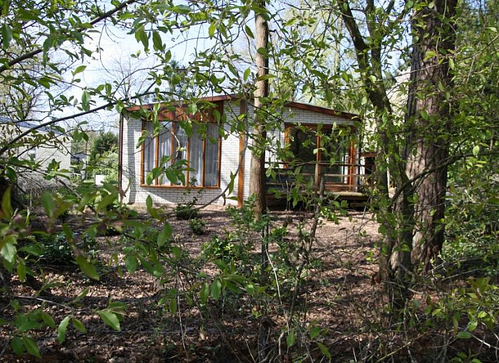 Verblijf 526502 • Chalet Twente • Specht