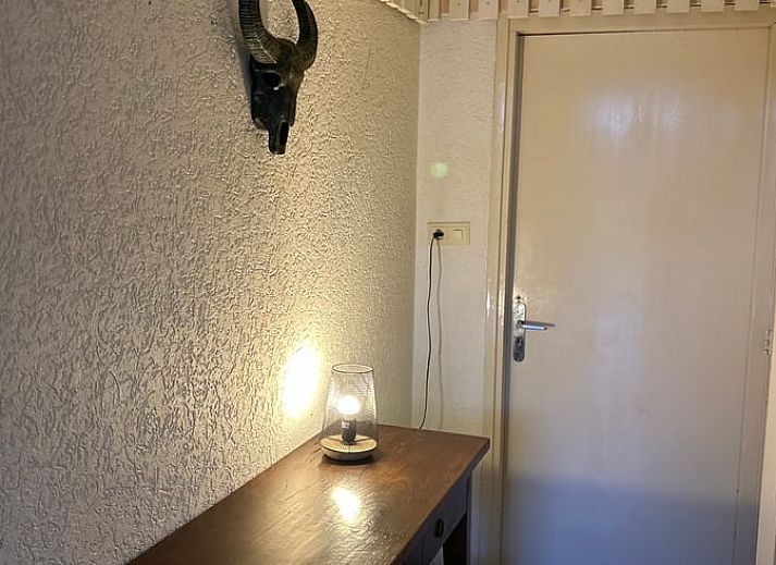 Gemuetliches Wohnzimmer im Ferienhaus in Goor, Twente, Overijssel mit bequemen Sofas und festlichem Weihnachtsbaum fuer eine gemuetliche Atmosphaere.