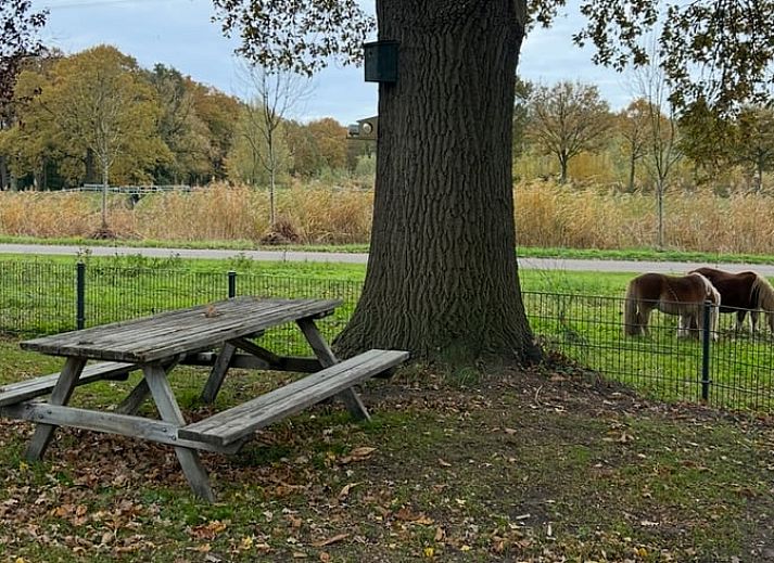 Gemuetliches Wohnzimmer im Ferienhaus in Goor, Twente, Overijssel mit bequemen Sofas und festlichem Weihnachtsbaum fuer eine gemuetliche Atmosphaere.