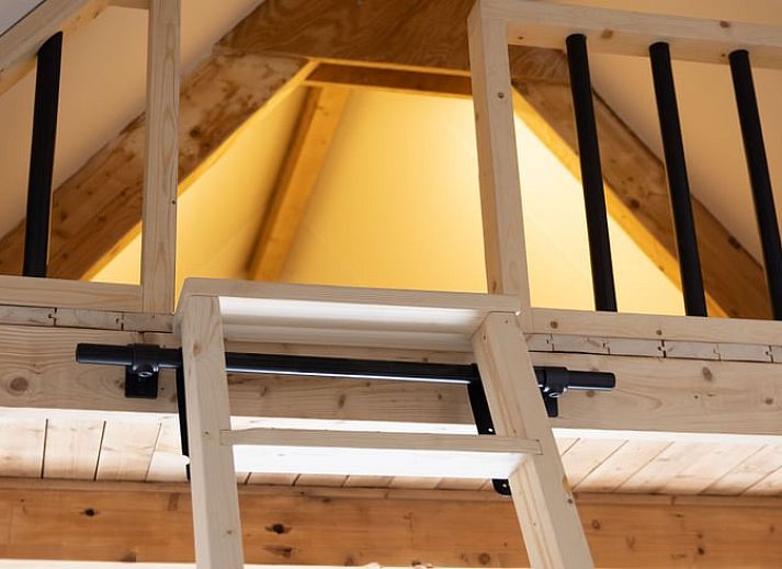 Unterkunft 526704 - Ferienhaus Twente - Vakantiehuis in Bornerbroek