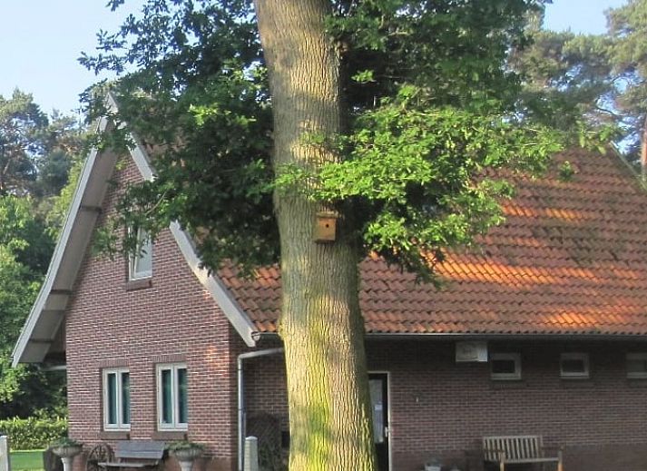 Unterkunft 526704 - Ferienhaus Twente - Vakantiehuis in Bornerbroek
