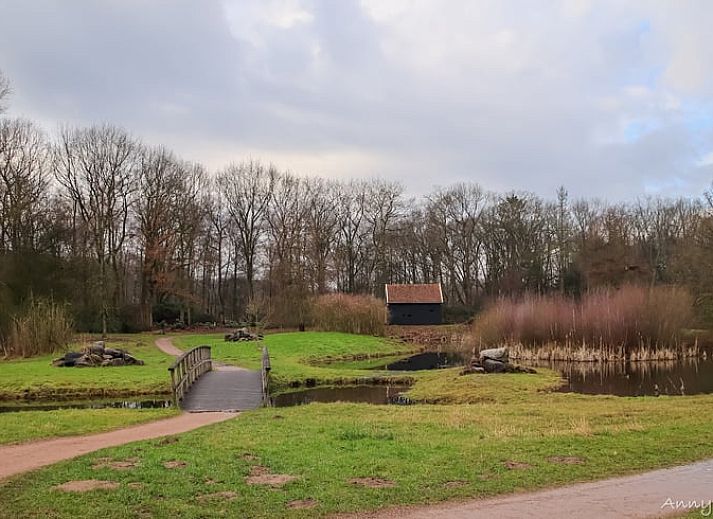 Unterkunft 526704 - Ferienhaus Twente - Vakantiehuis in Bornerbroek