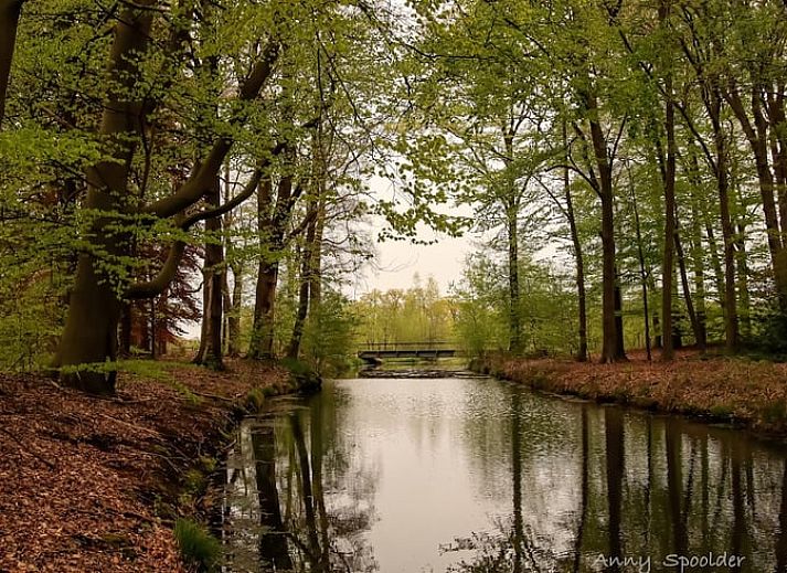 Unterkunft 526704 - Ferienhaus Twente - Vakantiehuis in Bornerbroek