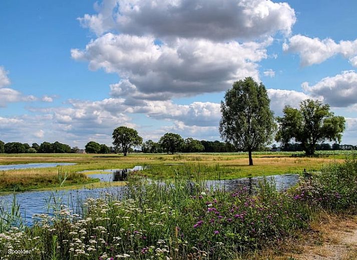 Unterkunft 526704 - Ferienhaus Twente - Vakantiehuis in Bornerbroek