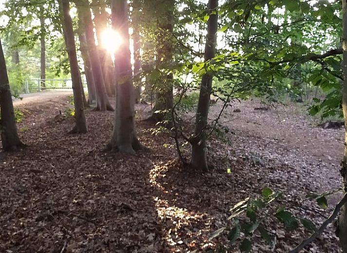Unterkunft 526704 - Ferienhaus Twente - Vakantiehuis in Bornerbroek
