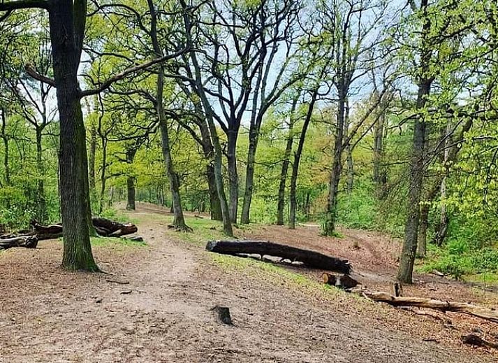 Guest house 526705 - Holiday property Twente - Vakantiehuisje in Bornerbroek